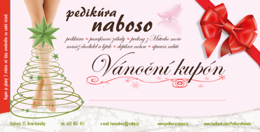 vánoční kupón_bez.png